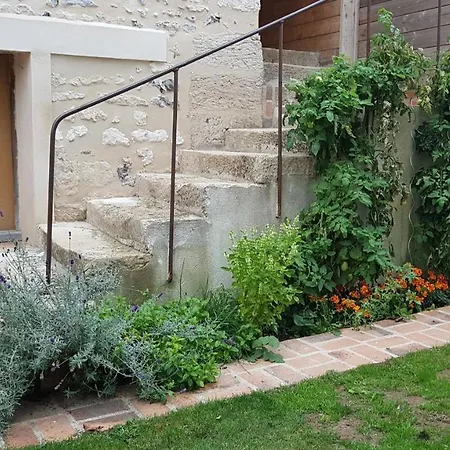 Appartement L'abaca 21 *